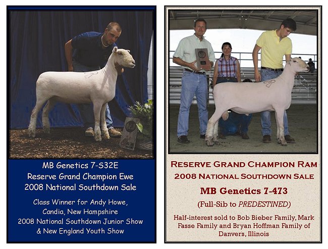 2008 National Sale Res Ram & Ewe